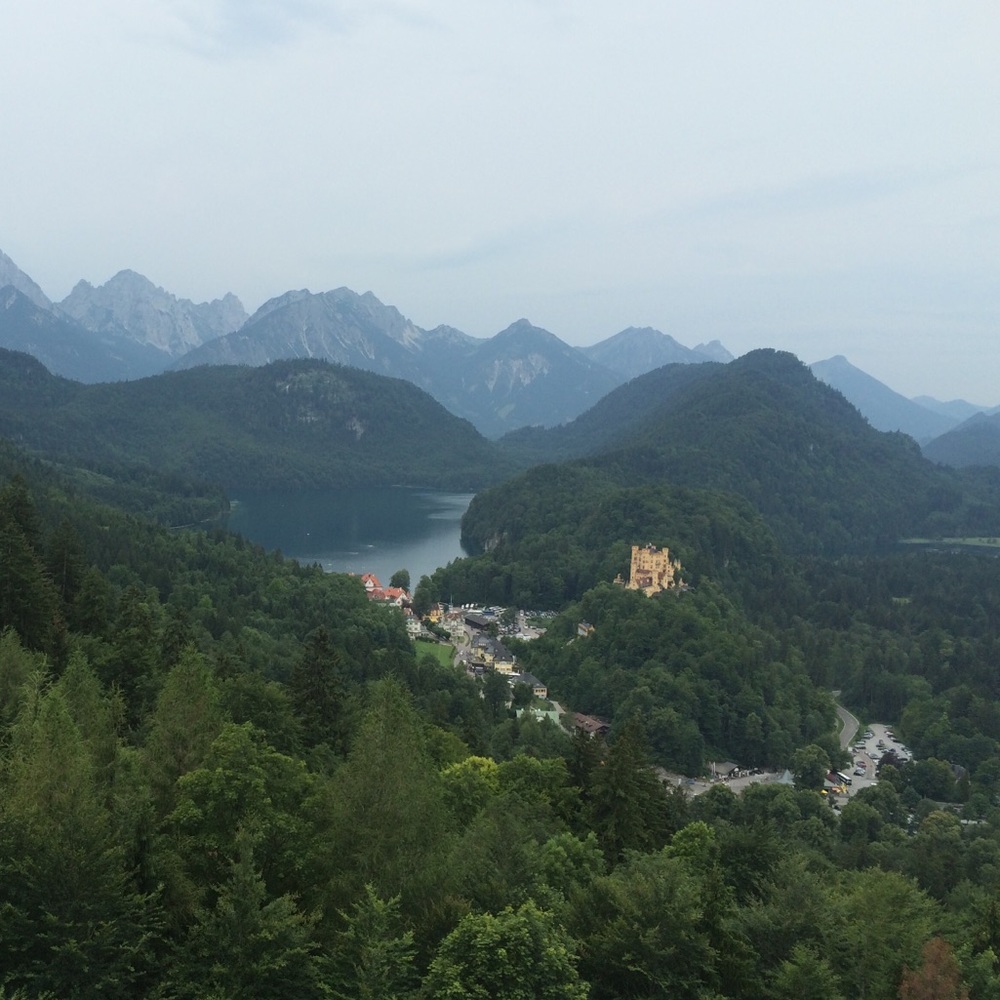 Meet your Posher, Abigail